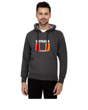 Chitkara University Classic Hoody for Men - Big U Design